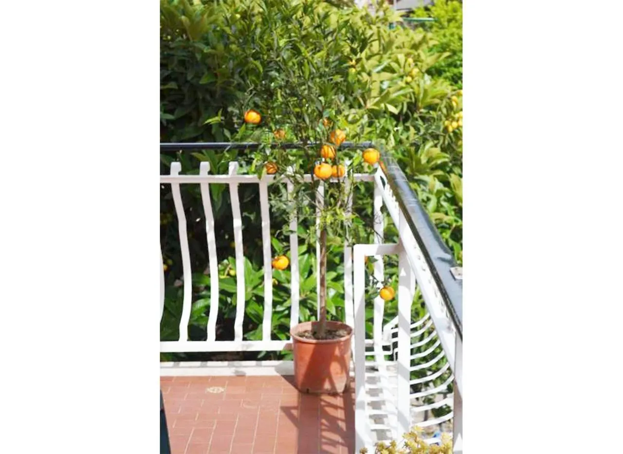 ** Guest house Casa Celeste Rome Italy
